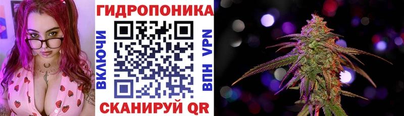 Бошки Шишки гибрид Никольское