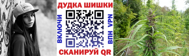 закладка  Никольское  Конопля конопля 